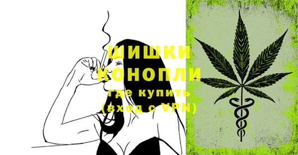 молекула духа Михайловск