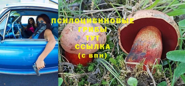 молекула духа Михайловск