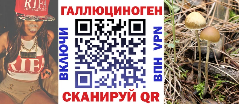 Псилоцибиновые грибы мицелий  Петровск 
