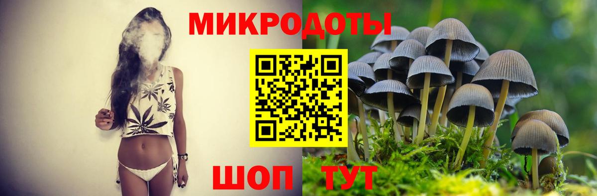 Петровск  Галлюциногенные грибы Cubensis  Вход с VPN  Псилоцибиновые грибы мухоморы 